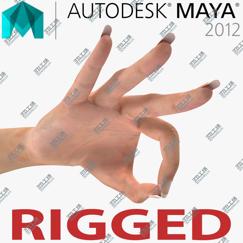images/goods_img/202105071/Female Hand 2 Rigged for Maya/1.jpg